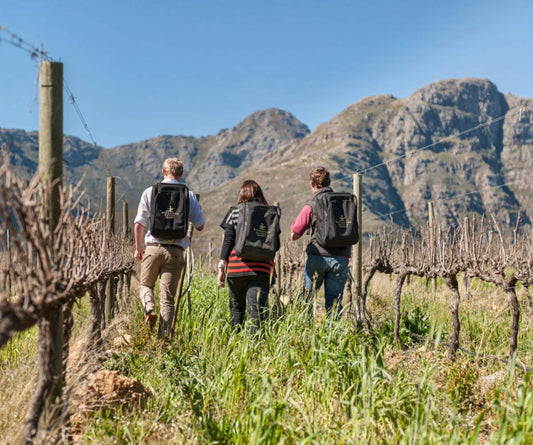 Waterford Estate’s Porcupine Trail Wine Walk: Exploring the Essence of South Africa