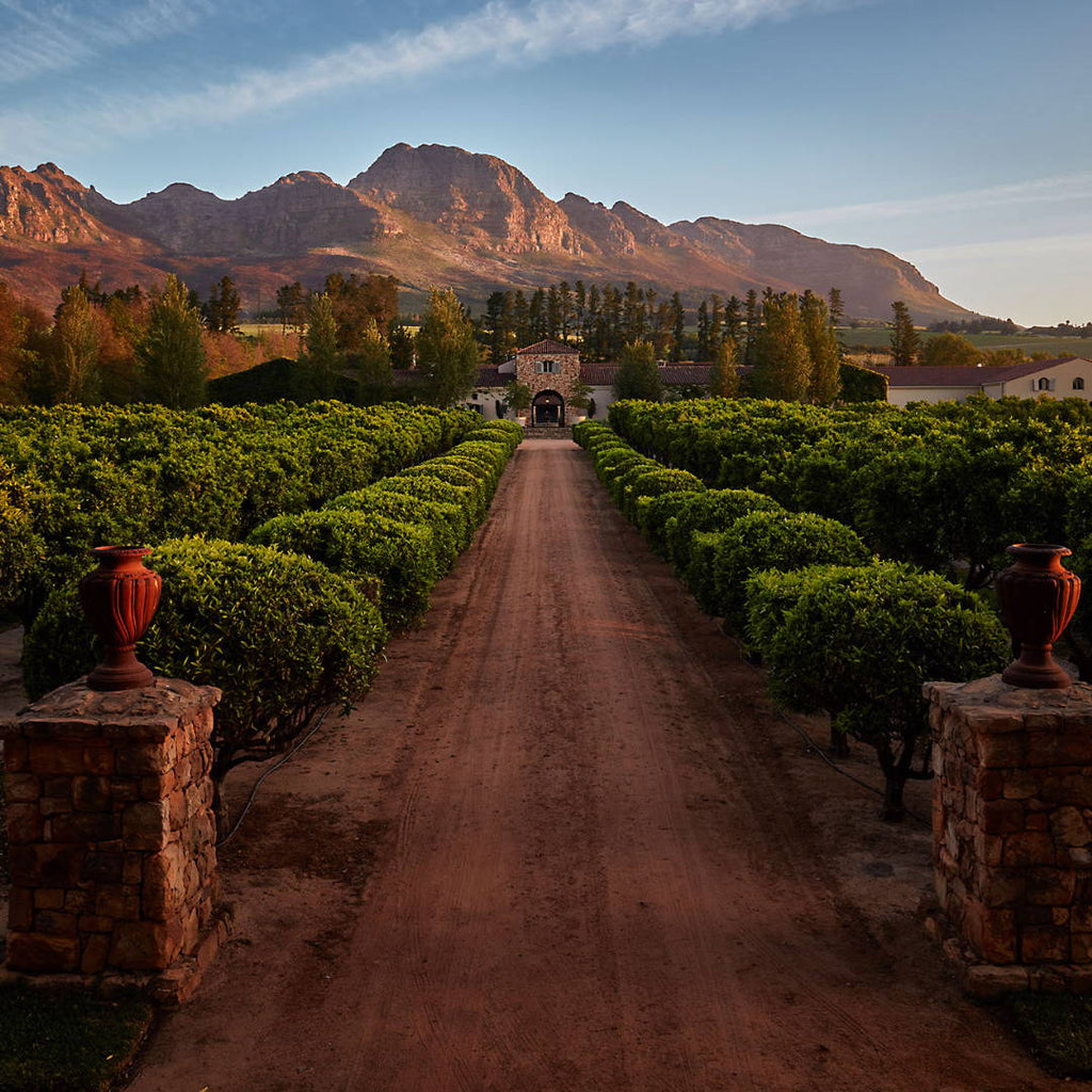 Get a glimpse of Waterford Estate with Jeremy Maarschalk