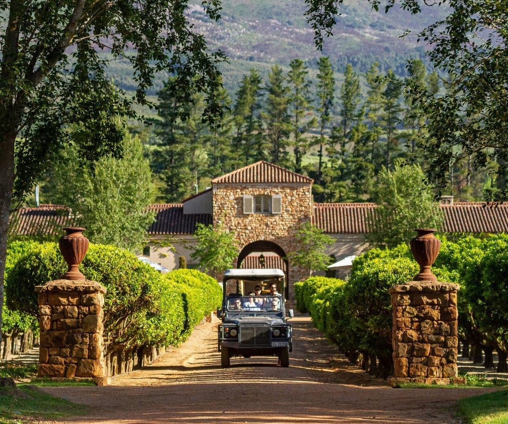 The Wine Drive Safari Experience: Exploring the Beauty of South African Wines